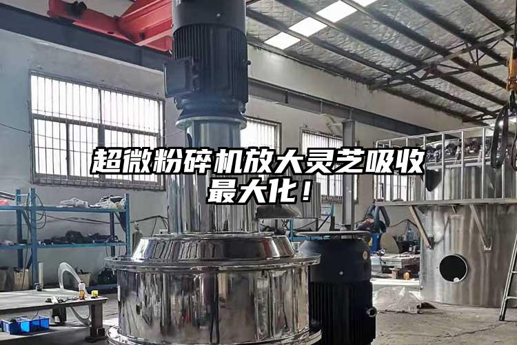 超微粉碎機(jī)放大靈芝吸收最大化！
